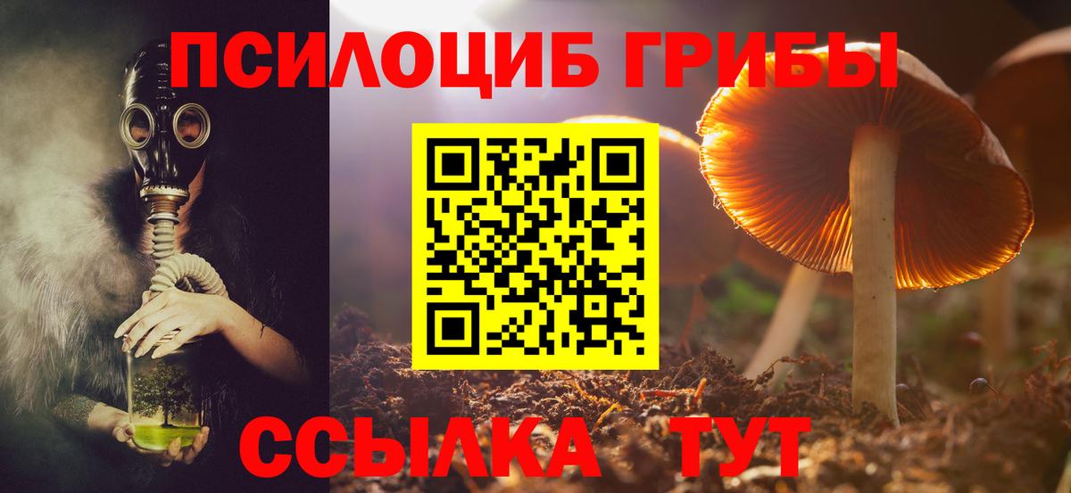 Псилоцибиновые грибы мухоморы Тула