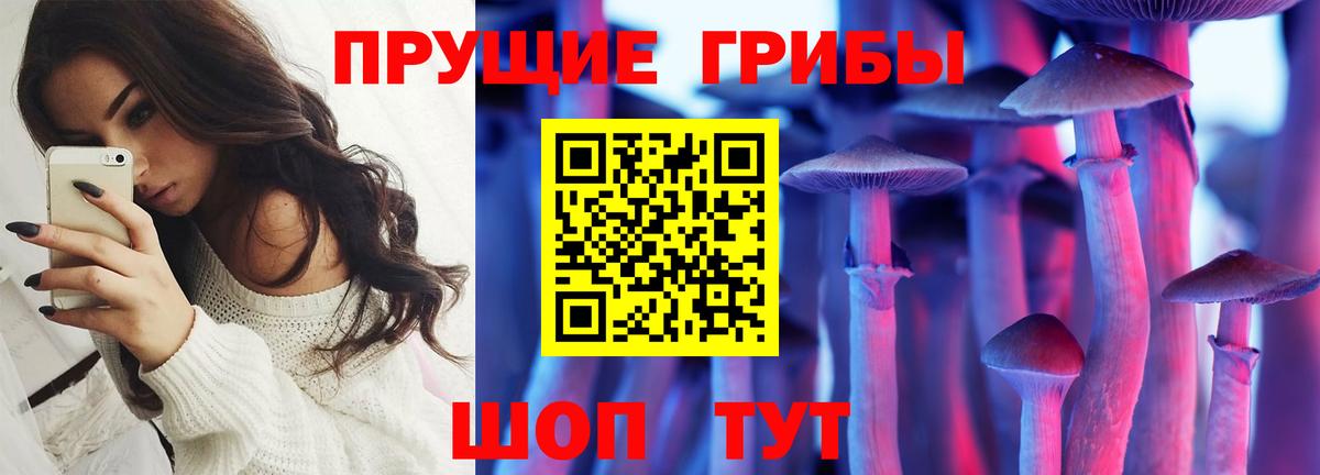 Псилоцибиновые грибы прущие грибы  Псилоцибиновые грибы ЛСД  Тула  Вход с VPN 